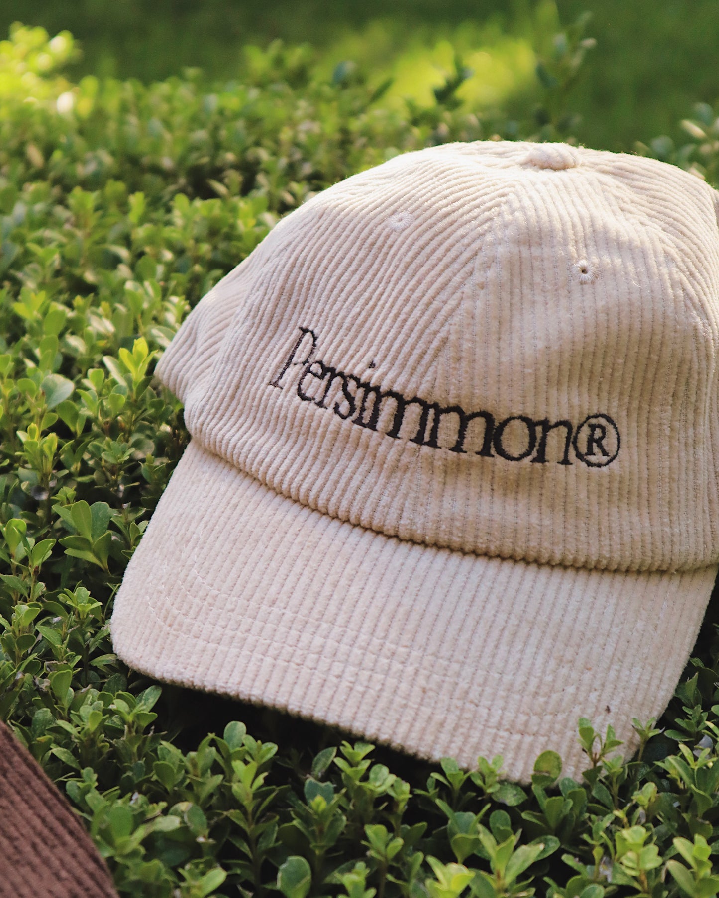 Persimmon Corduroy Dad Hat