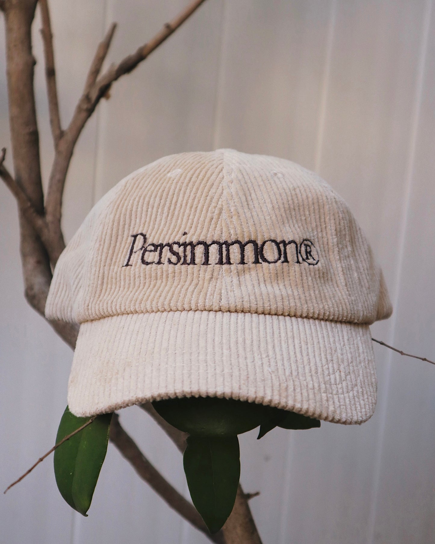 Persimmon Corduroy Dad Hat